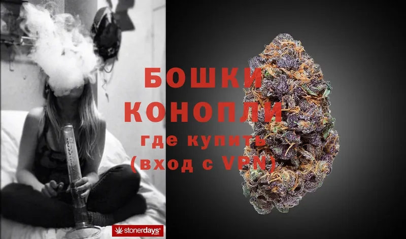 Бошки Шишки White Widow  цены наркотик  Новомичуринск 